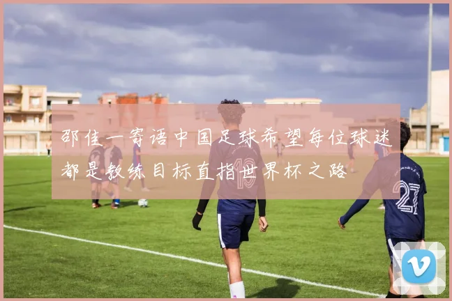邵佳一寄语中国足球希望每位球迷都是教练目标直指世界杯之路