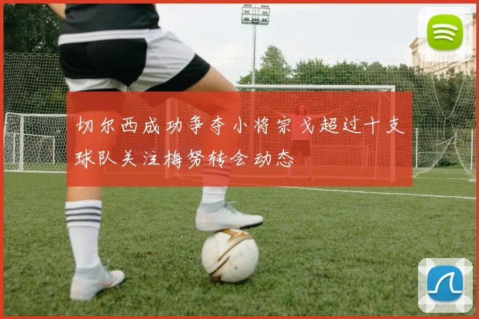 切尔西成功争夺小将宗戈超过十支球队关注梅努转会动态